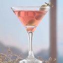 Kieliszek do martini i cosmopolitan Misket 175 ml, LAV